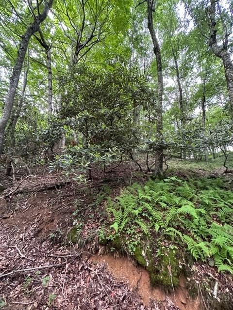 Tbd Comers Rock Rd. Property Photo 16