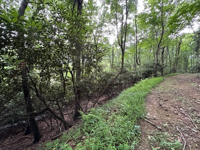 Tbd Comers Rock Rd. Property Photo 17