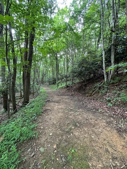 Tbd Comers Rock Rd. Property Photo 18
