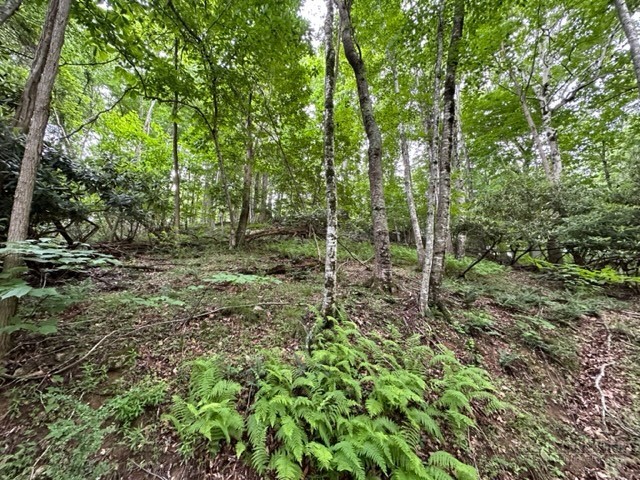 Tbd Comers Rock Rd. Property Photo 19