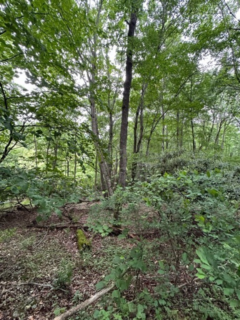 Tbd Comers Rock Rd. Property Photo 20