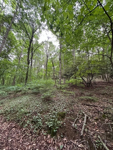 Tbd Comers Rock Rd. Property Photo 21