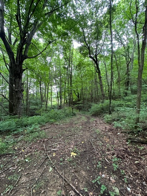 Tbd Comers Rock Rd. Property Photo 22