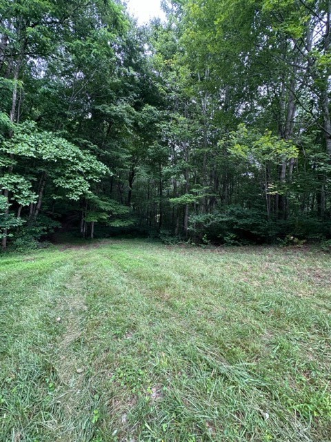 Tbd Comers Rock Rd. Property Photo 27