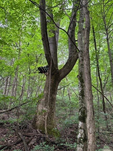 Tbd Comers Rock Rd. Property Photo 28