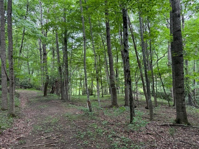 Tbd Comers Rock Rd. Property Photo 30