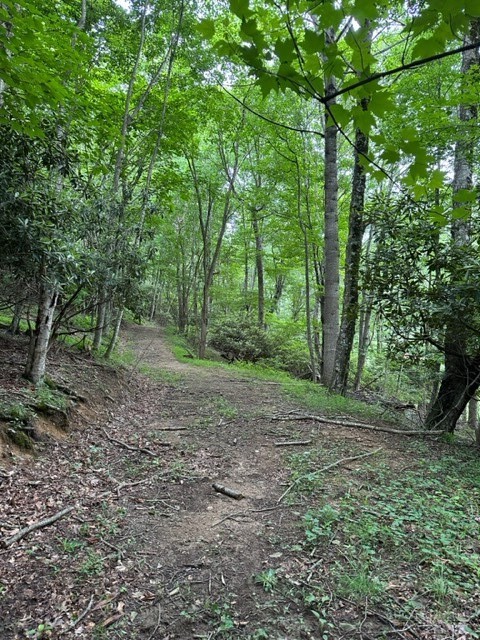 Tbd Comers Rock Rd. Property Photo 31