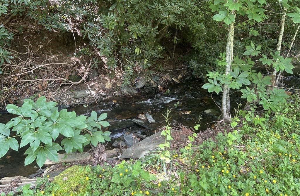 2890 Old Highway 16 Property Photo 5
