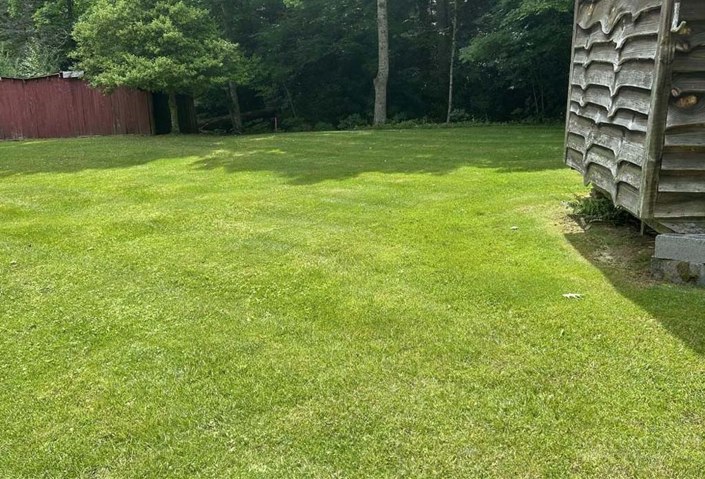 2890 Old Highway 16 Property Photo 12