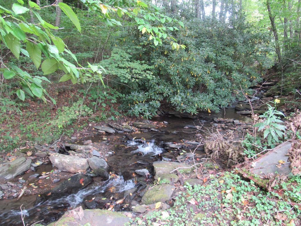 2890 Old Highway 16 Property Photo 13