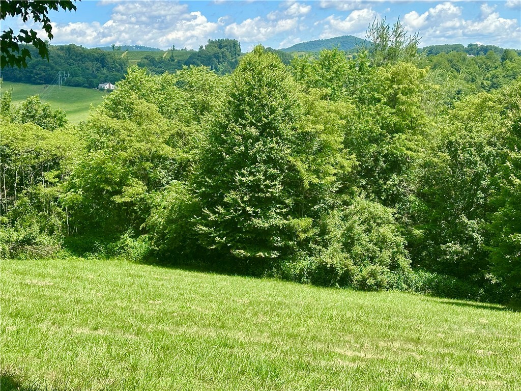 Tbd Pinnacle Ridge Road Property Photo 1