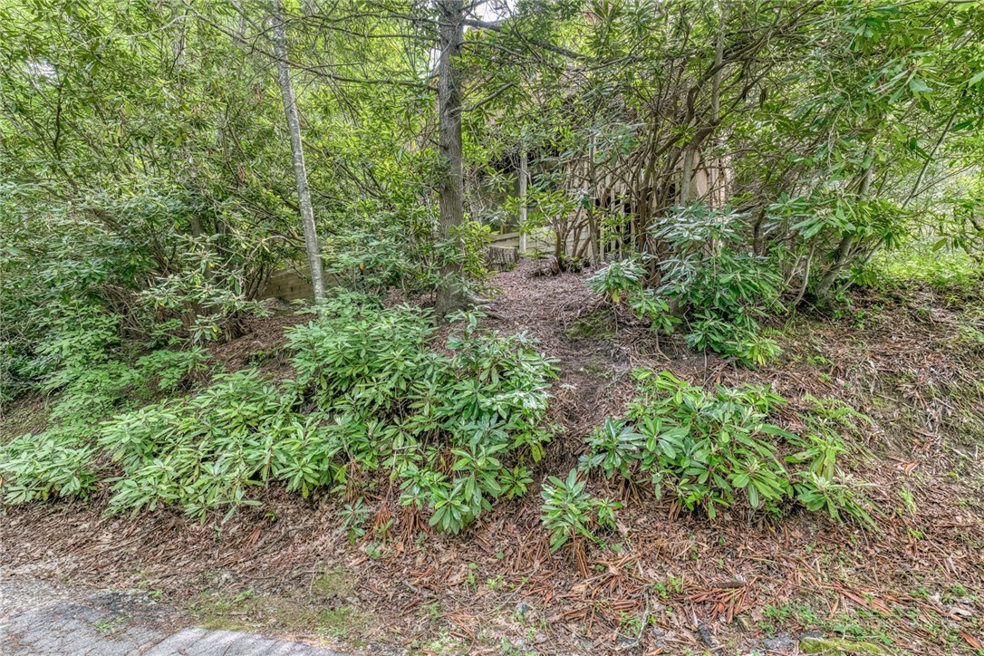 392 Locust Road Property Photo 43