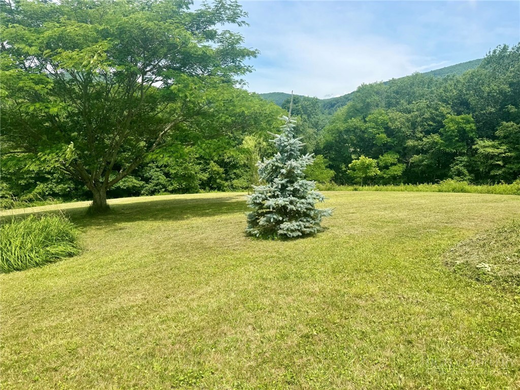 38 Sapphire Lane Property Photo 19