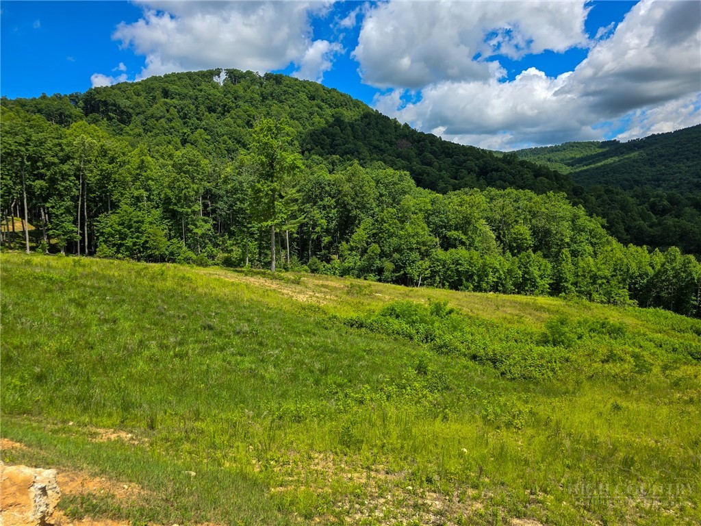 30 Wilderness Watch Trace Property Photo 2