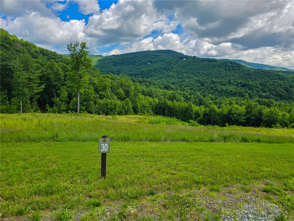 30 Wilderness Watch Trace Property Photo 6