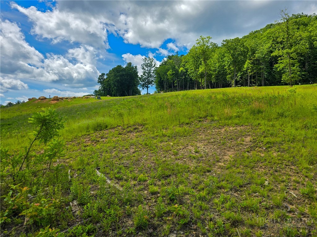 30 Wilderness Watch Trace Property Photo 7