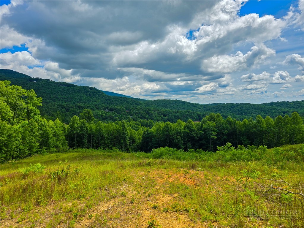 30 Wilderness Watch Trace Property Photo 9