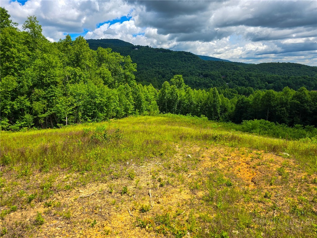 30 Wilderness Watch Trace Property Photo 10