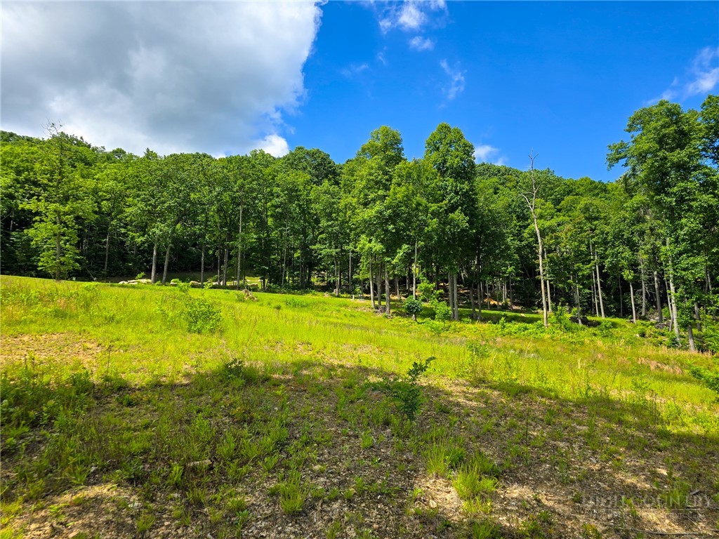30 Wilderness Watch Trace Property Photo 11