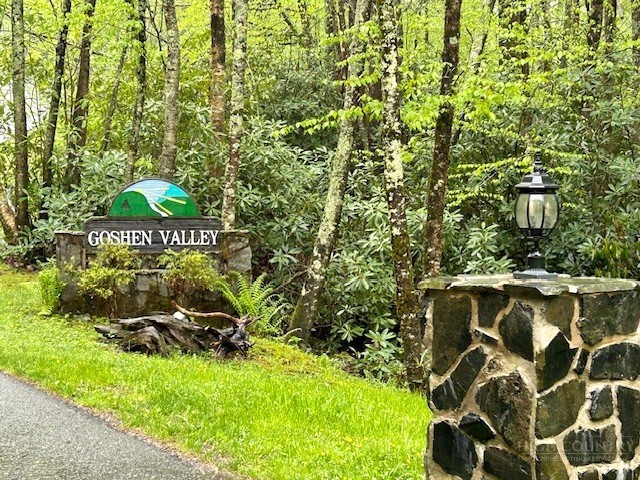 Tbd Goshen Drive Property Photo 1