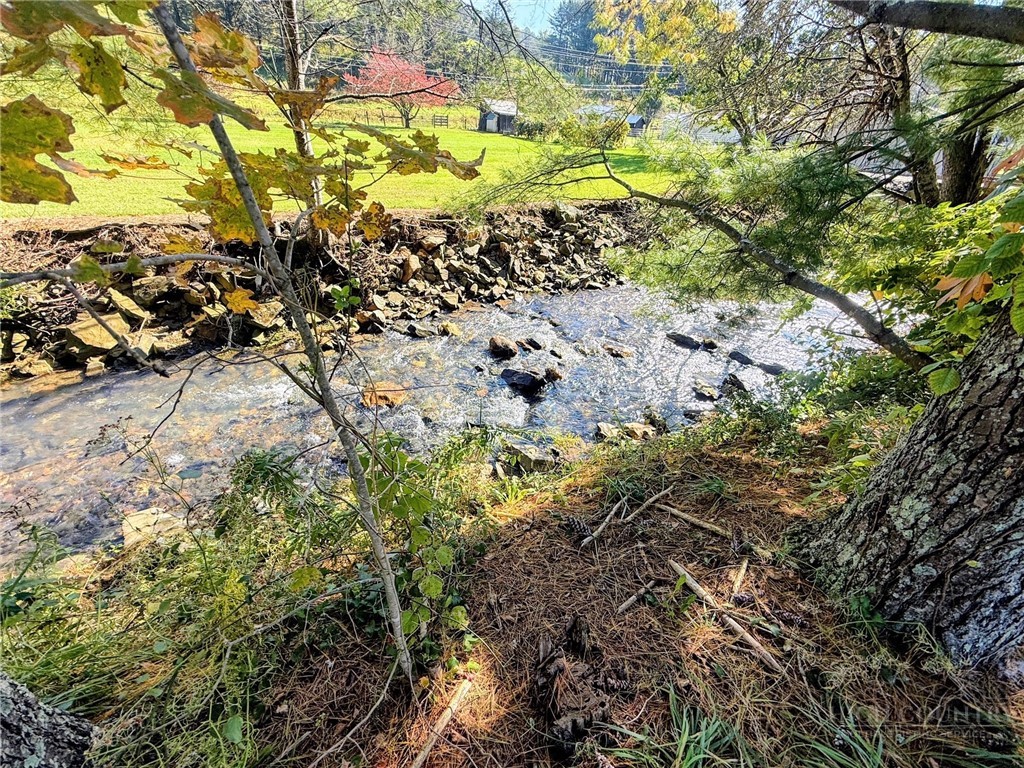 1586 Nc Highway 88 W. Property Photo 4