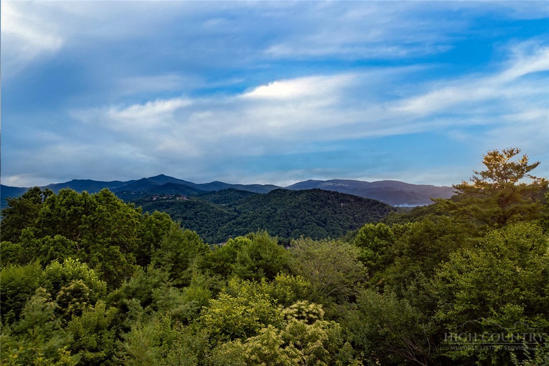177 Mulberry Property Photo 4