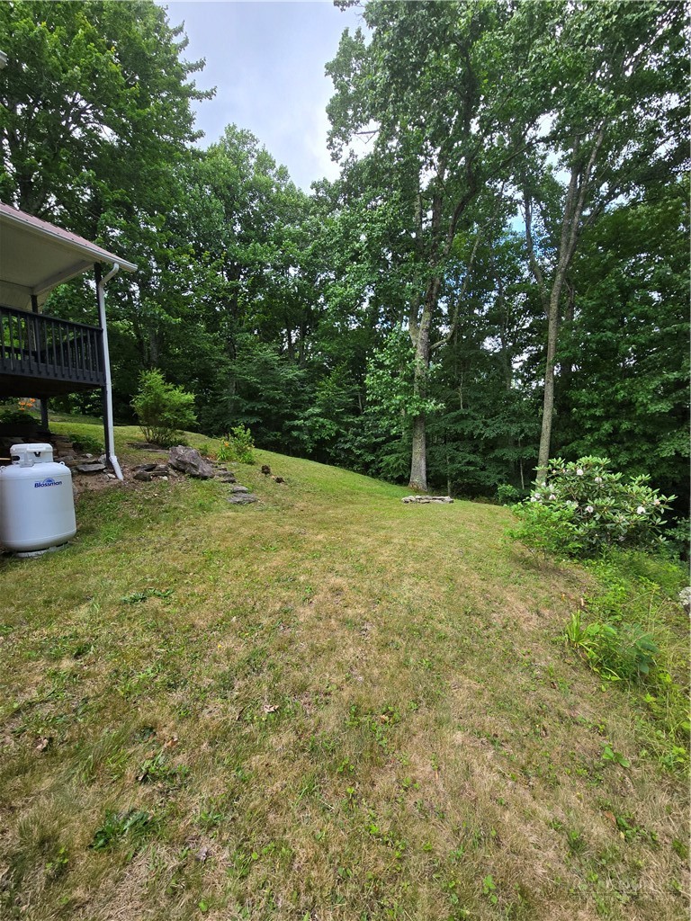 49 Paradise Lane Property Photo 4
