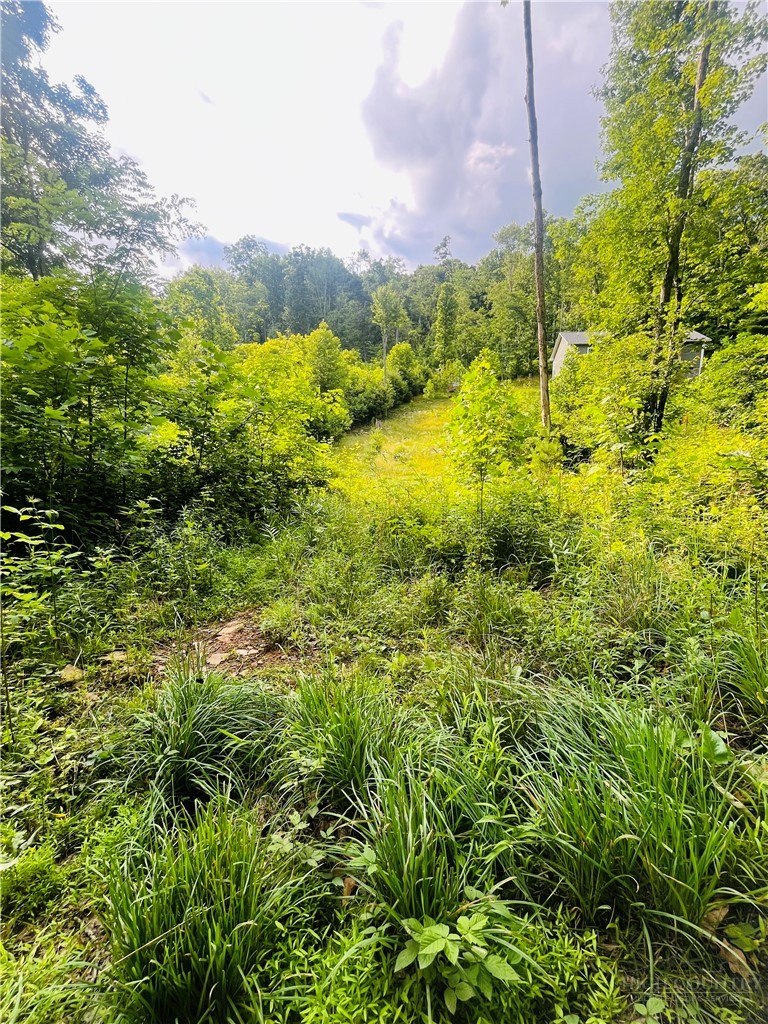 Tbd Woodstown Road Property Photo 1