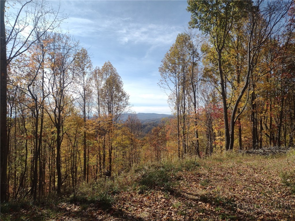 Tbd N Us Hwy 421 Property Photo 1