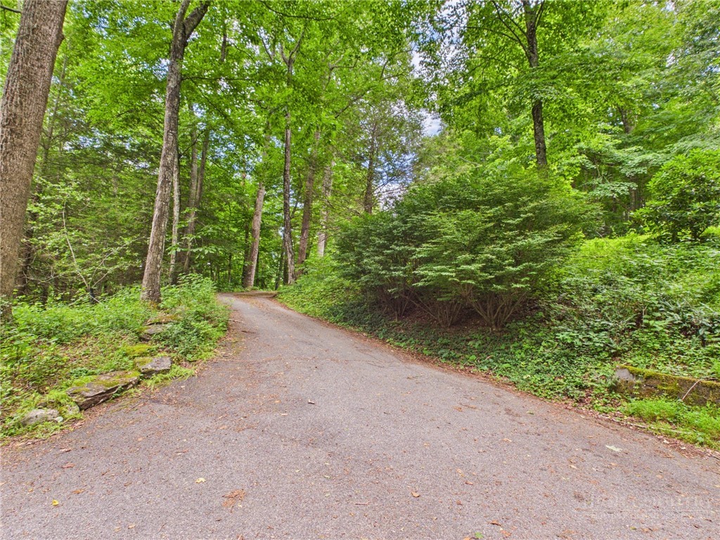 442 Timberlane Drive Property Photo 30