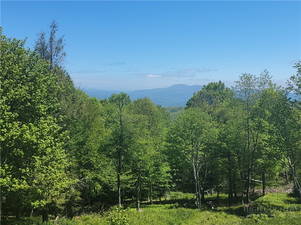 Tbd Foxfire Drive Property Photo 1