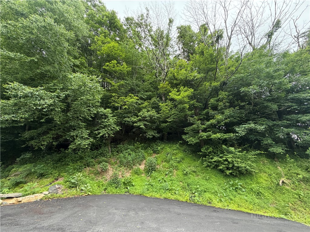 TBD Johns Mountain Road Property Photo 1