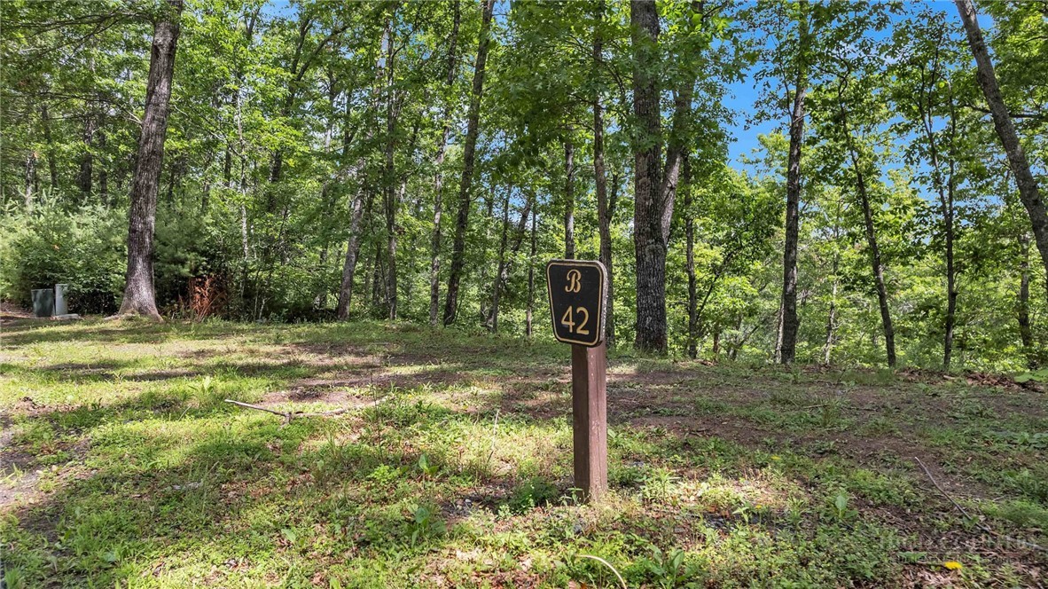 Lot 42 Smoke Rise Path Property Photo 3