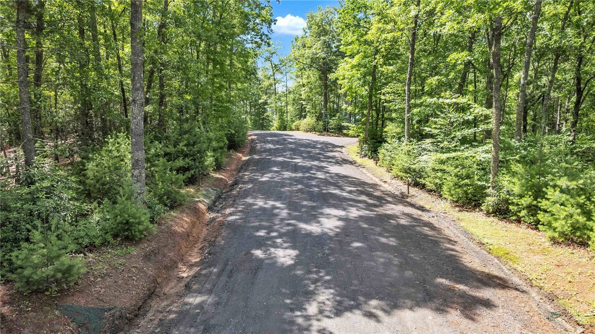 Lot 42 Smoke Rise Path Property Photo 4