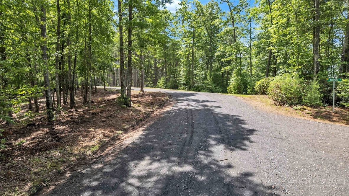 Lot 42 Smoke Rise Path Property Photo 5
