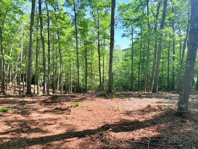 Lot 42 Smoke Rise Path Property Photo 9