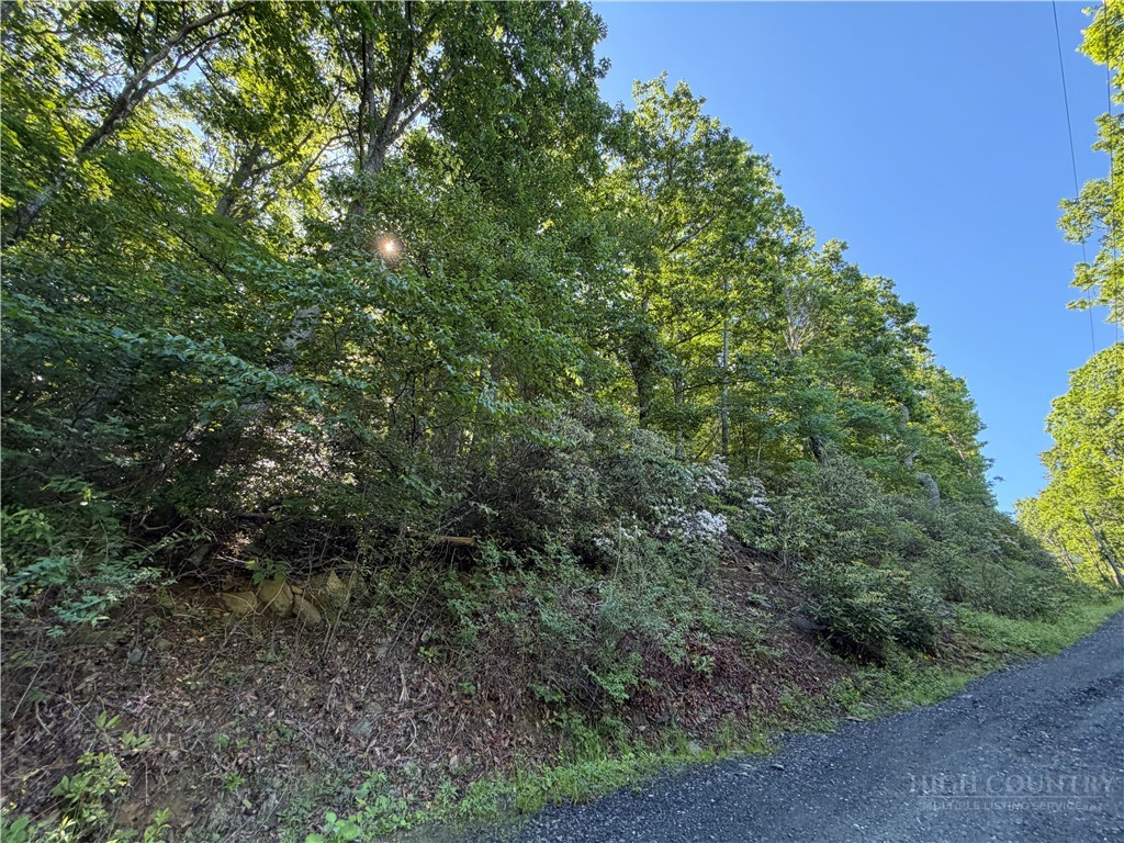 TBD Indian Lake Drive