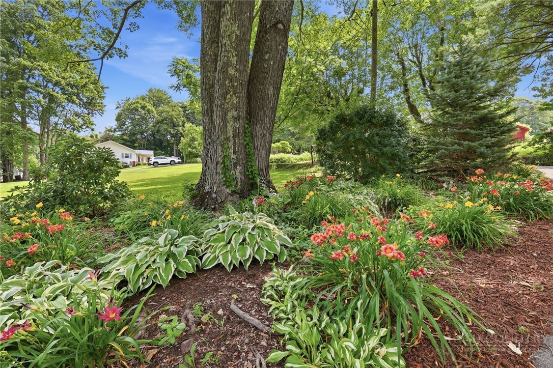 113 Hamilton Drive Property Photo 41