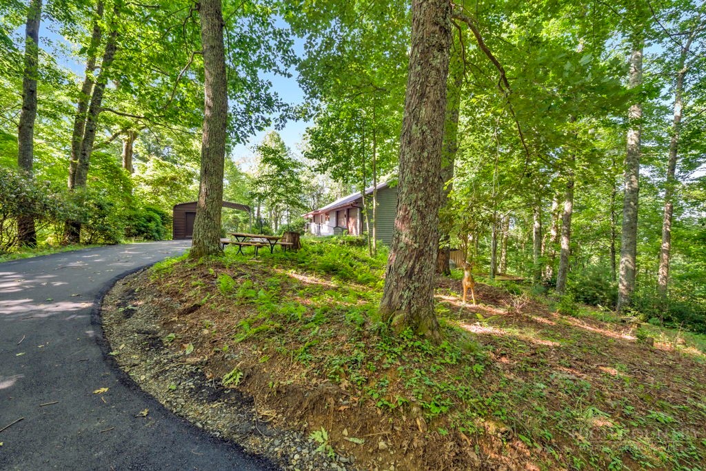102 Ginger Hollow Road Property Photo 4
