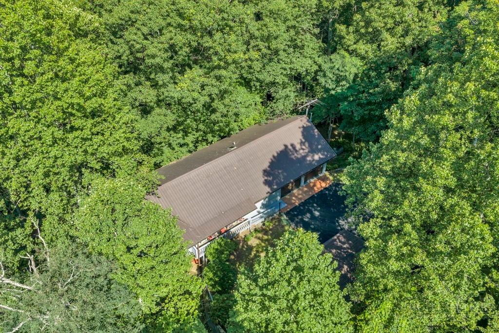 102 Ginger Hollow Road Property Photo 5