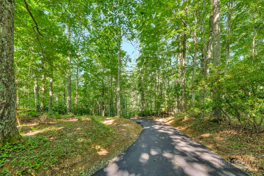 102 Ginger Hollow Road Property Photo 33