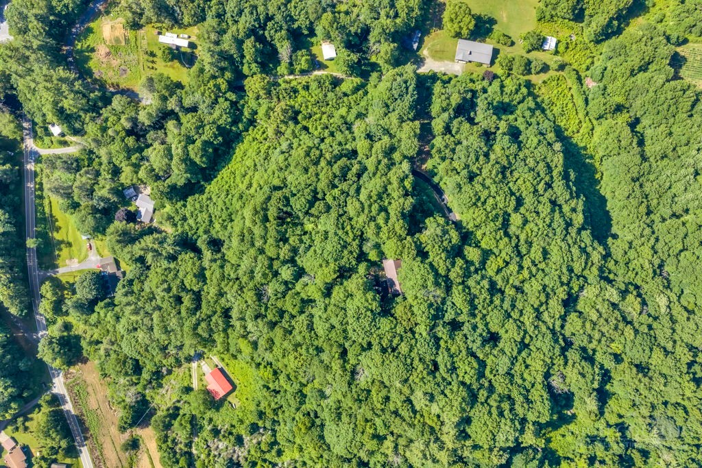 102 Ginger Hollow Road Property Photo 36