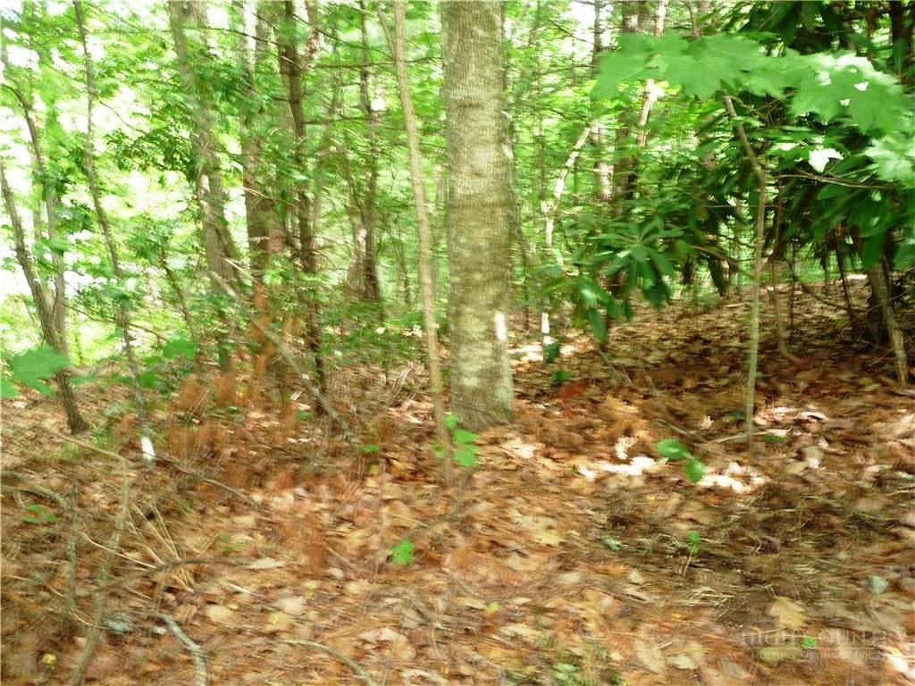 360 Kenmure Drive Property Photo 1