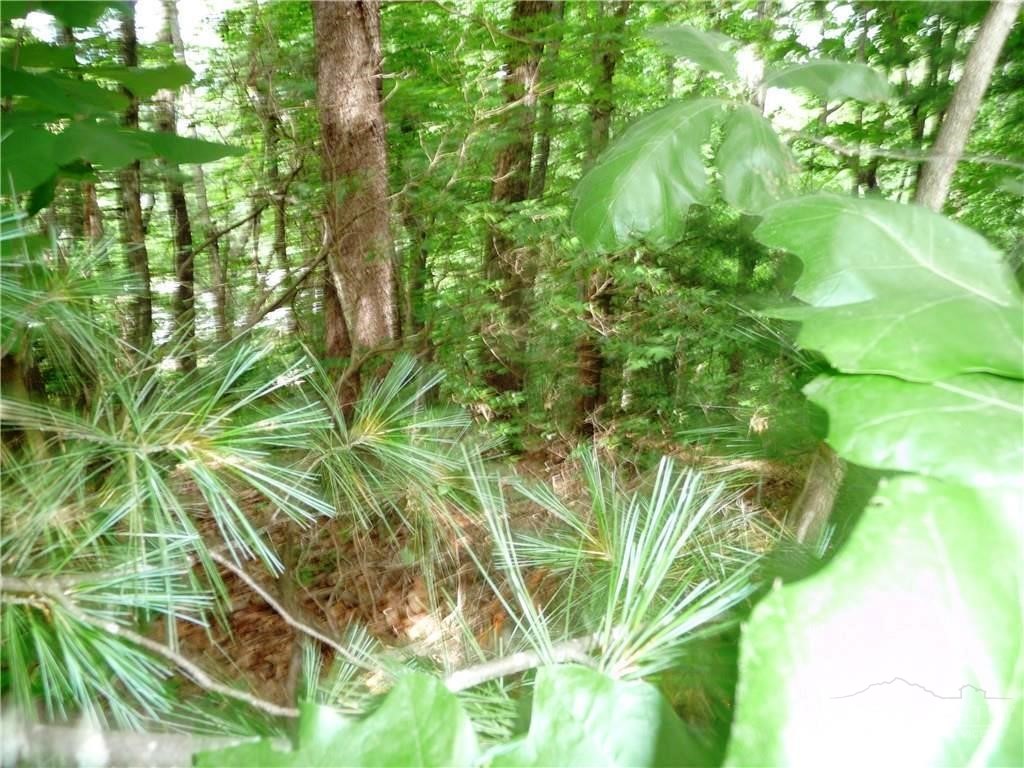 360 Kenmure Drive Property Photo 13