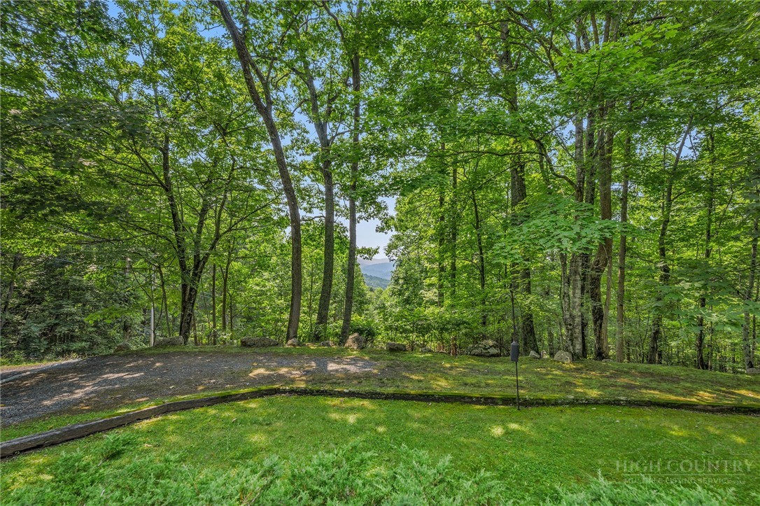 1493 Laurel Creek Rd Ext Property Photo 3