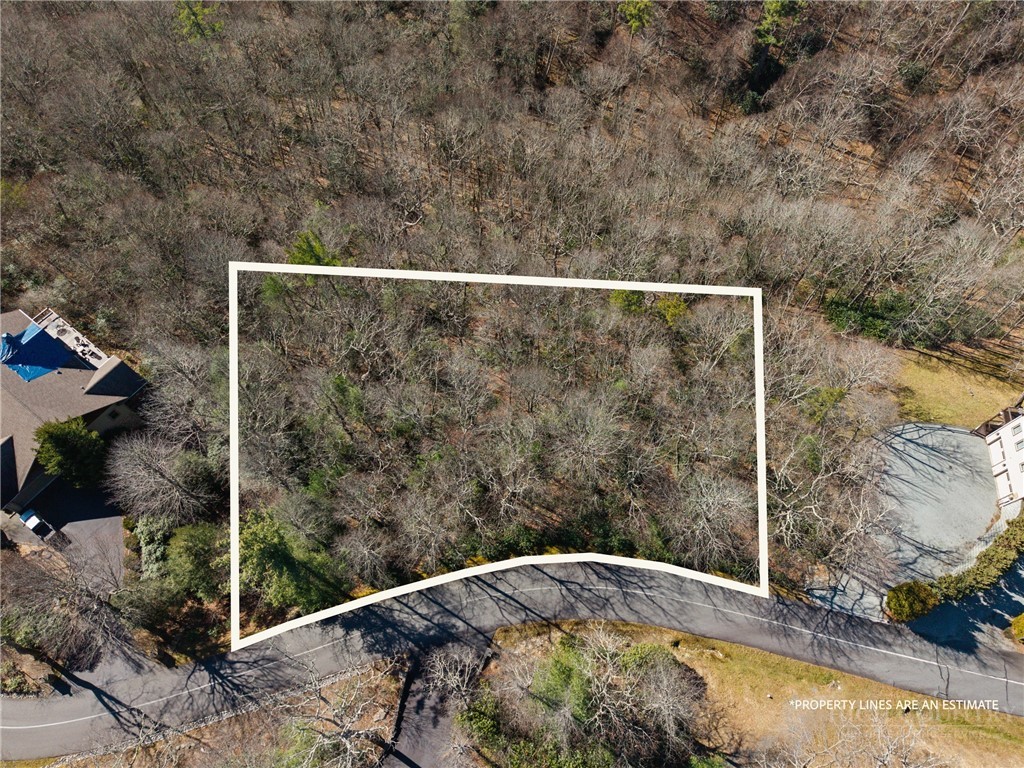 Lot 61 Boone Coffey Trail Property Photo 4