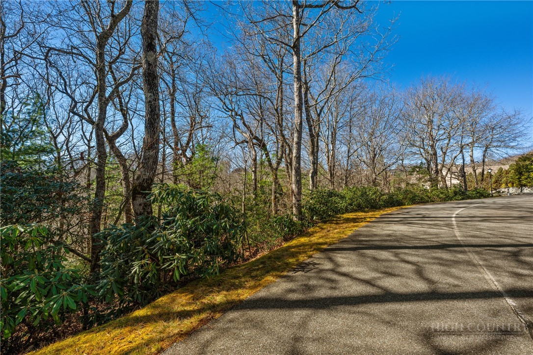 Lot 61 Boone Coffey Trail Property Photo 6