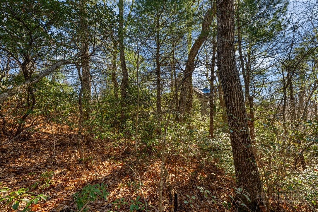 Lot 61 Boone Coffey Trail Property Photo 7