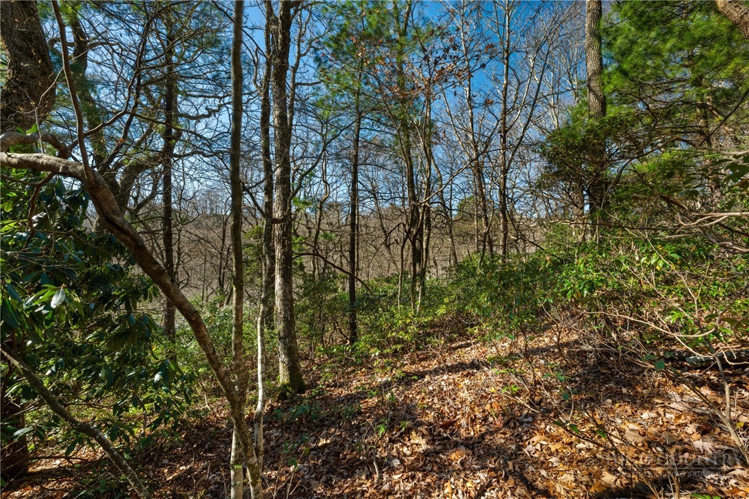 Lot 61 Boone Coffey Trail Property Photo 8