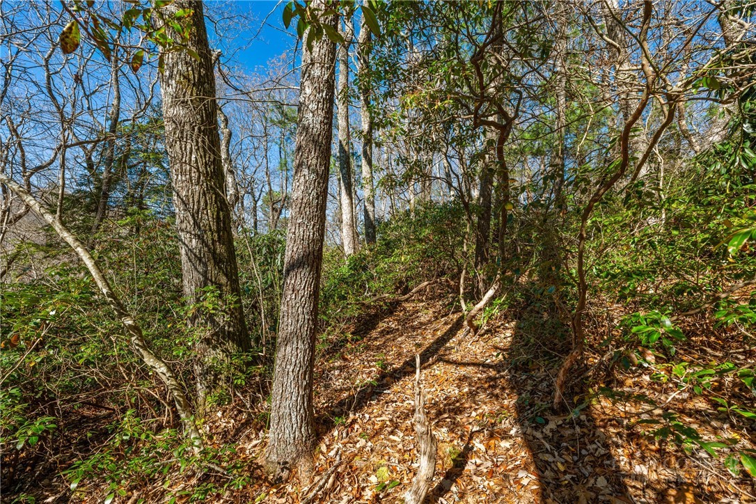 Lot 61 Boone Coffey Trail Property Photo 10